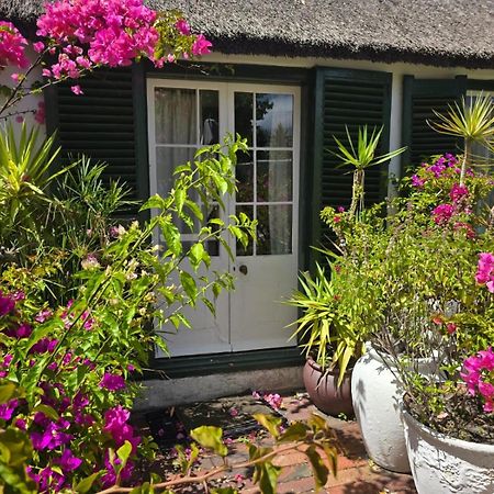 Meyerhof Daire Cape Town Dış mekan fotoğraf