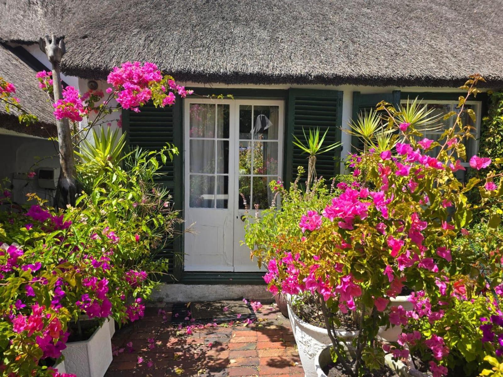 Meyerhof Daire Cape Town Oda fotoğraf