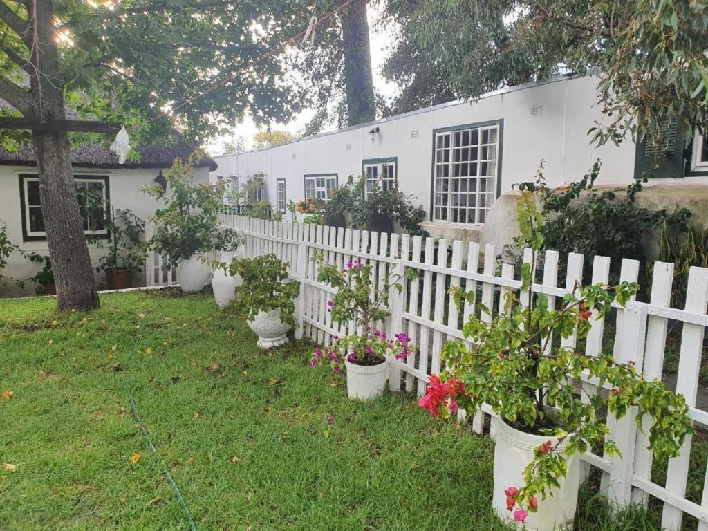 Meyerhof Daire Cape Town Dış mekan fotoğraf