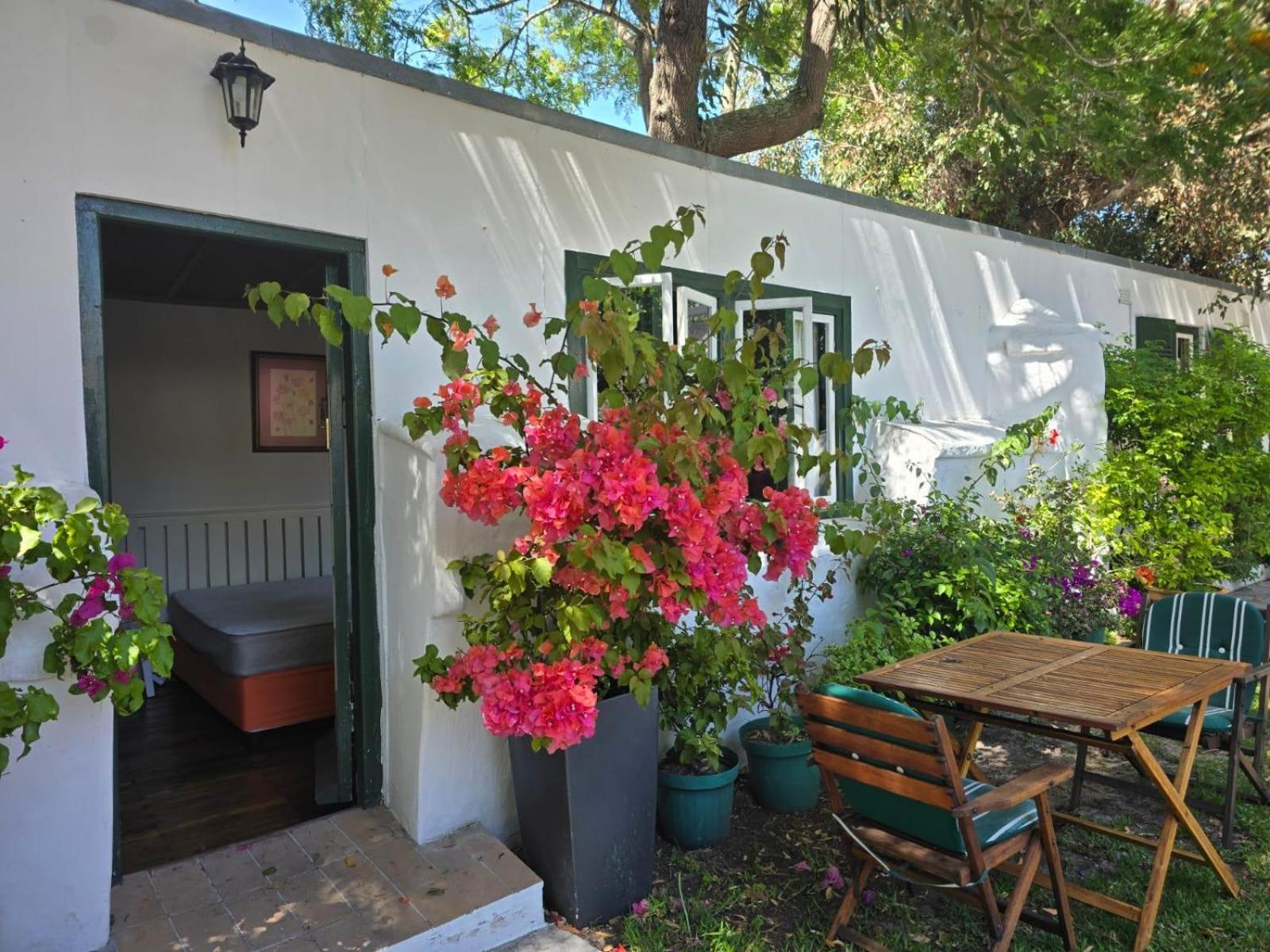 Meyerhof Daire Cape Town Oda fotoğraf