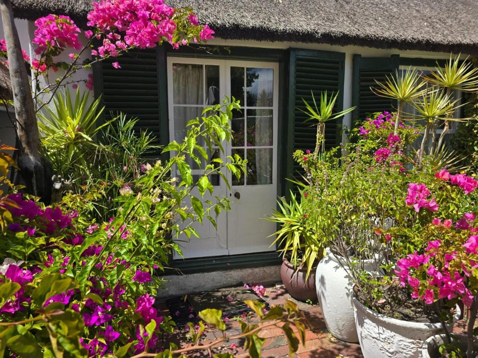 Meyerhof Daire Cape Town Dış mekan fotoğraf