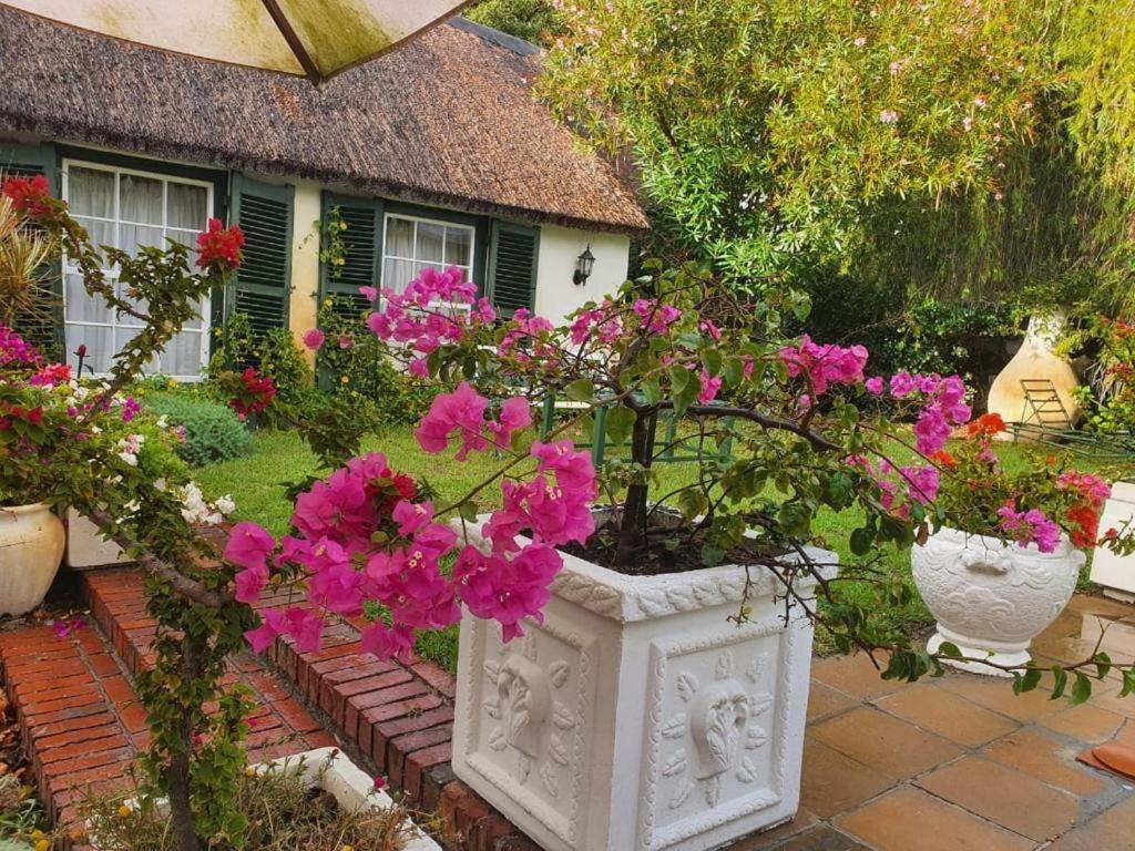 Meyerhof Daire Cape Town Dış mekan fotoğraf