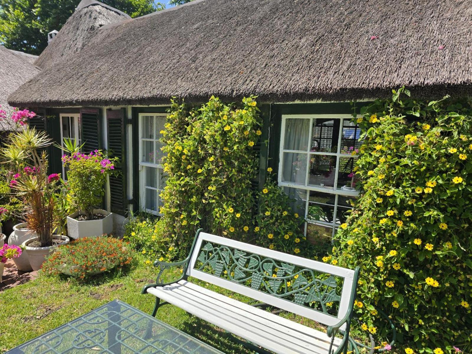 Meyerhof Daire Cape Town Dış mekan fotoğraf
